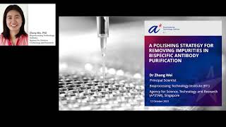A Polishing Strategy for Removing Impurities in Bispecific Antibody Purification