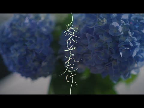 the chef cooks me 「愛がそれだけ feat. 」- Music Video