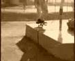 Static X - Invincible Skate