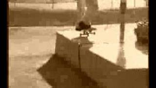 Static X - Invincible Skate