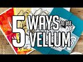 5 DIFFERENT WAYS TO USE VELLUM
