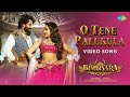 O Tene Palukula Video Song Bimbisara Nandamuri Kalyan Ram Catherine Tresa Vassishta