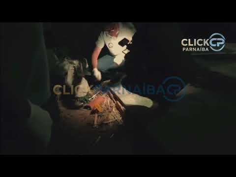 Ocorrência com disparos mobiliza polícia em Ilha Grande