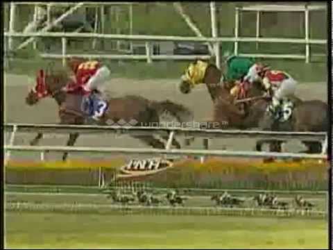 6TA CARRERA DOMINGP 19 ENERO LA RINCONADA