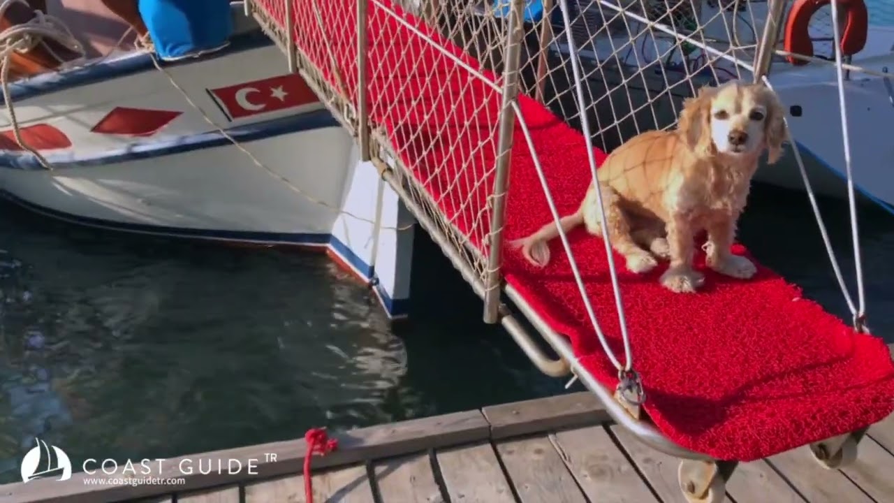 Löngöz Video