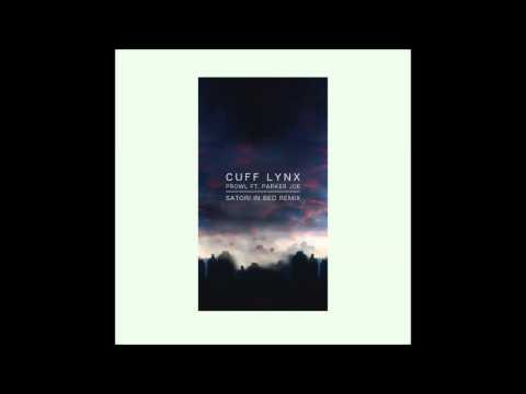 Prowl ft  Parker Joe SATORI IN BED Remix