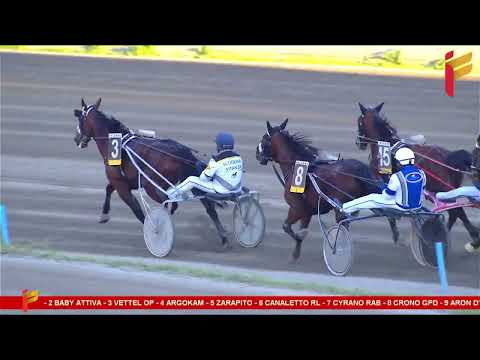 VIII Corsa del 25 marzo 2023 - 5 Anni ed oltre - Metri 2000/2020  - TQQ