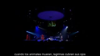 Peter Gabriel- Animal nation (subtitulada)- Milan  2003