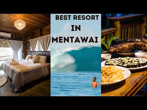 Mentawai Island Surf Resort: Stunning Surf, Amazing Food, and Island Vibes at Playground Surf Resort