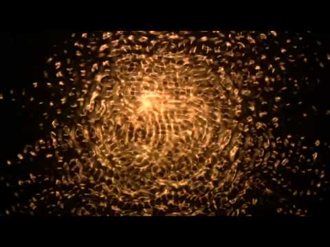 United Vibrations - RA! - Official Video