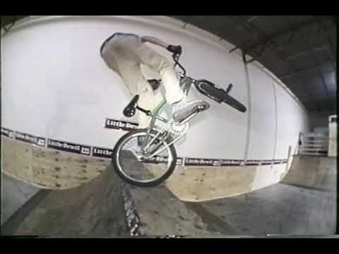 Who brought the dicks - mixed section