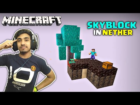 MINECRAFT SKYBLOCK BUT IT'S IN THE NETHER