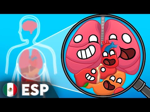 El Cuerpo Humano en Pocas Palabras
