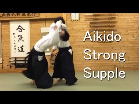 Strong and Supple Aikido - Shirakawa Ryuji sensei