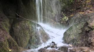 preview picture of video 'Wasserfall in der Eifel'