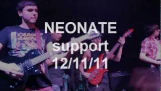 Virginia Street - Neonate Support (12/11/11, 