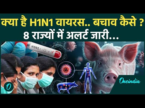 H1N1 Virus: क्या है Swine flu के Symptoms, इससे कैसे बचें, कैसे लेता है जान | वनइंडिया | Influenza