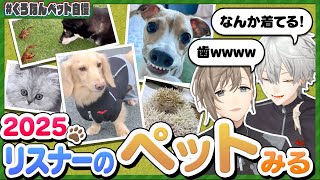 オープニング - 「こういう犬が一番良い」くろのわお気に入りのリスナーのペットとは? #くろなん