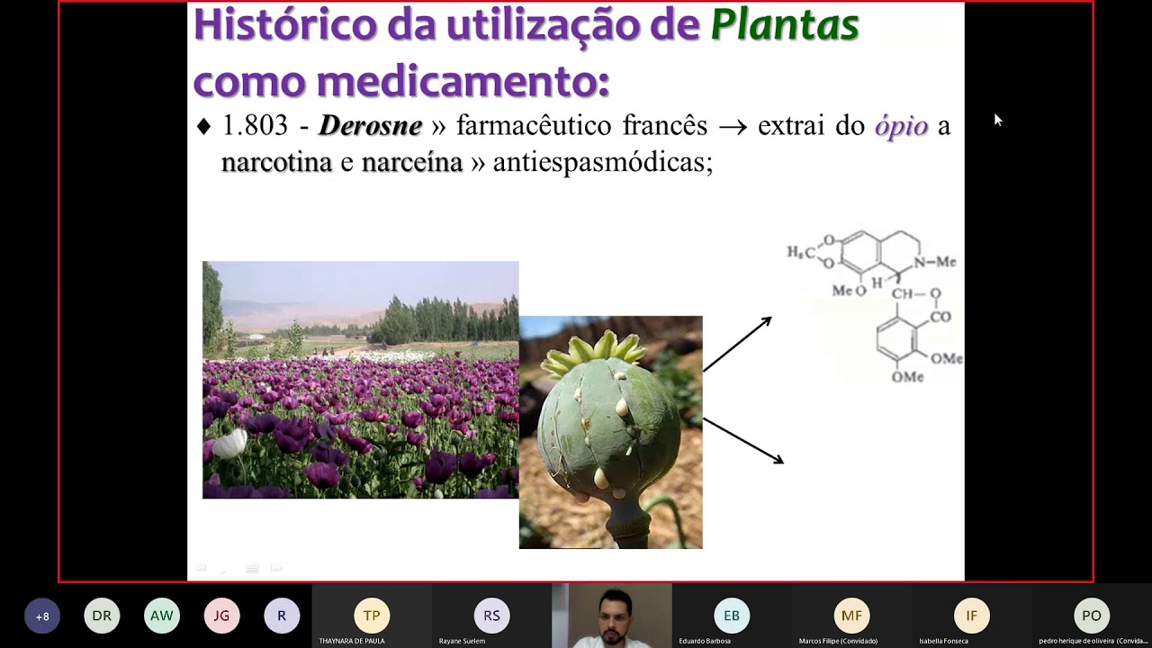 Farmacognosia - Introdução e Histórico da utilização de Plantas na terapêutica