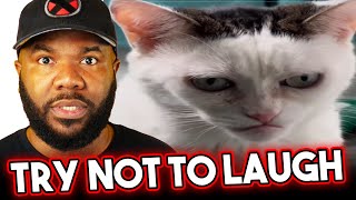 Funniest, Extreme memes of the week! NemRaps Try Not To Laugh 391