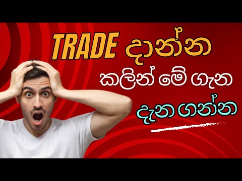 Forex Lot Sizes Explained | Choosing the Right Size for Optimal Trading | Forex Trading Beginners