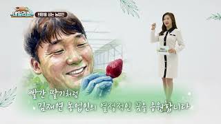 데일리팜, 희망을 심는 농업인 "노지보다 스마트팜!" 괴산 딸기를 키우는 김재연 청년농업인