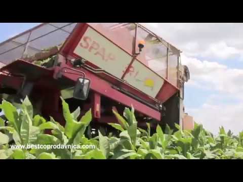 Kombajn za duvan Spapperi RA632E