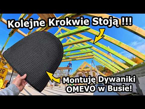 Dywaniki OMEVO z Plastrami Miodu !!! - Jak się prezentują? *Jestem w Kalendarzu :) #1229