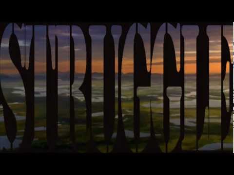 Jah Acid Dub - [Home] Freedom Struggle In Dub