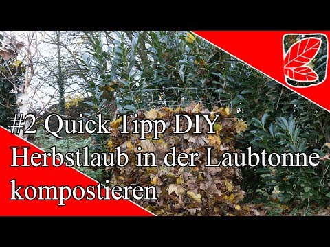 Wohin mit dem Laub? mein Quick Tipp 2# Kompostieren in der Laubtonne