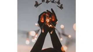 Download lagu Story wa ROMANTIS mp3