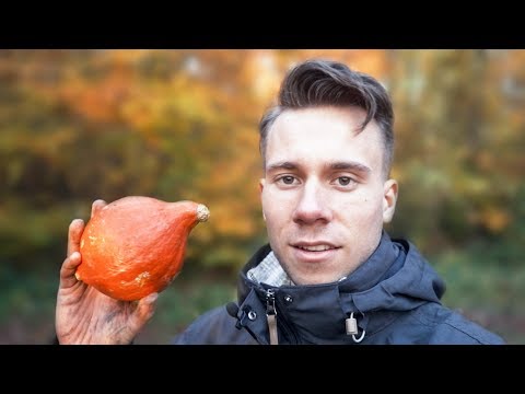 Kürbis-Eintopf im Wald kochen & Neues Werkzeug!