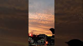 Download lagu SAVE PSS Sleman! PSS MILIK SLEMAN | CHANTS BCSxPSS mp3