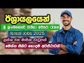 Israel Job Vacancies In Sri Lanka I Jobs Sinhala 2025 I New Foreign Job Opportunities