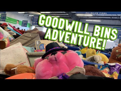 Thrifting At The GOODWILL BINS! And 7+ Thrift Stores! Thrift With Us!