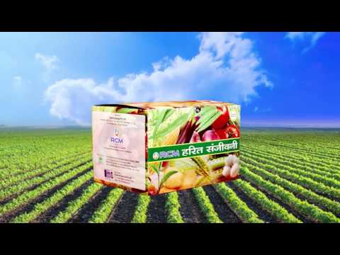 750g Harit Sanjivani