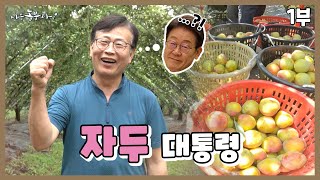 [나는농부다 365회 1부] 인생 2막, 자두 대통령을 꿈꾸다