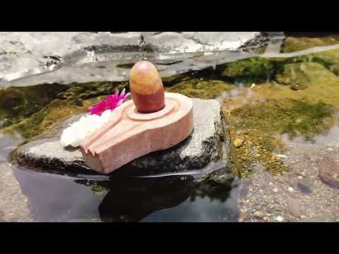 Trilokinatha Shambhu Lord Shiva Shivling with Yonibase video