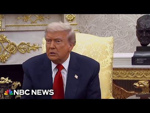 'You're a terrible person': Trump slams ABC News reporter after Epstein question 