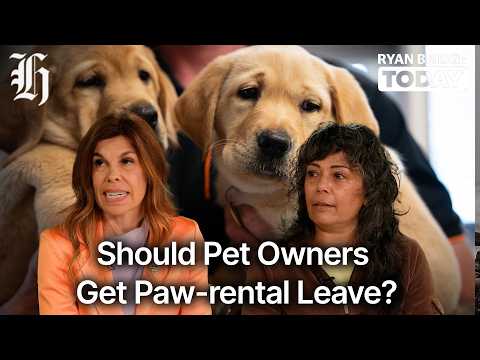 Thumbnail for Should pet owners get paw-rental leave? | Ryan Bridge TODAY