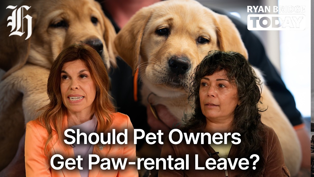 Should pet owners get paw-rental leave? | Ryan Bridge TODAY
