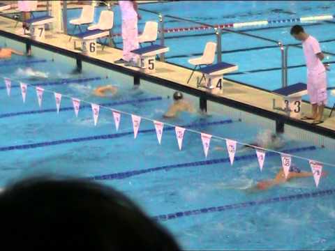 ZK - 19.02.2011. 50 m delfin