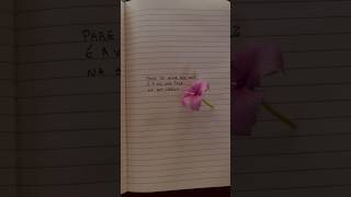 Como observar os pensamentos? #frases #inspiração #meditação