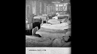 Victoria Spivey w/ Lonnie Johnson T.B. Blues (1927)