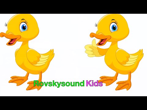 Five Little Ducks - Cinco Patitos - Kids Songs - Lagu Anak + More Nursery  Rhymes Videos For Children - Convertereal - Download Online Videos In Mp3  Or Mp4
