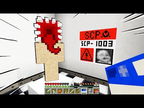 NON GIOCARE CON QUESTO BAMBINO!!! - Minecraft SCP 1003