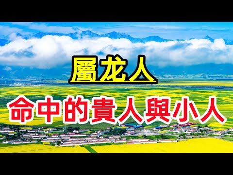 龍三合貴人