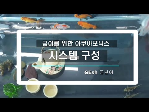 가정용 아쿠아포닉스 시스템구성