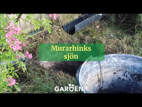 Anlägg en damm - Trädgårdshacks med GardenR