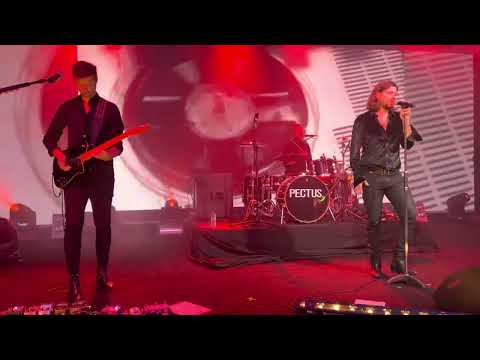Pectus live 4K- Nie pytaj o Polskę(cover)